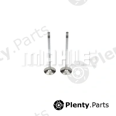 Mahle VA0461693 — Intake Valve