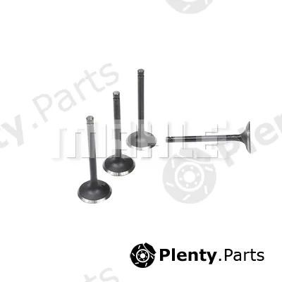 Mahle VA2110229 — Intake Valve