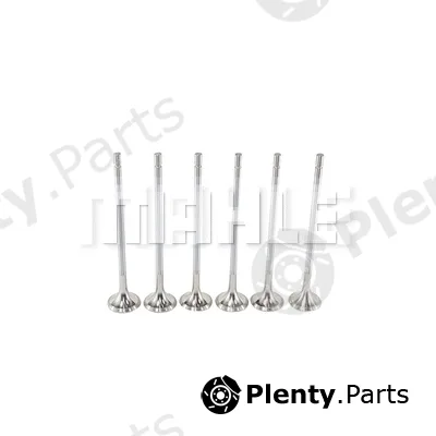 Mahle VE0710202 — Exhaust Valve