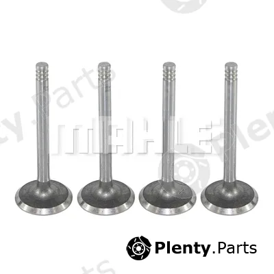 Mahle VA0700017 — Intake Valve