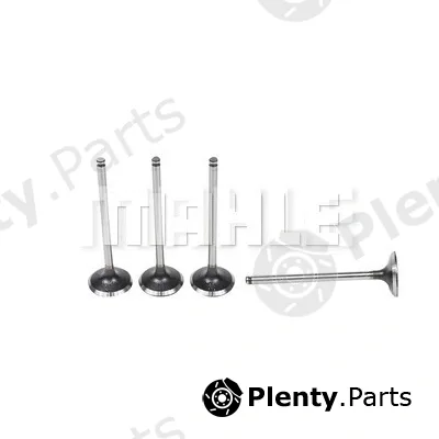 Mahle VA0440579 — Intake Valve