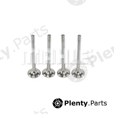 Mahle VE0480055 — Exhaust Valve