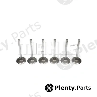 Mahle VA0590275 — Intake Valve