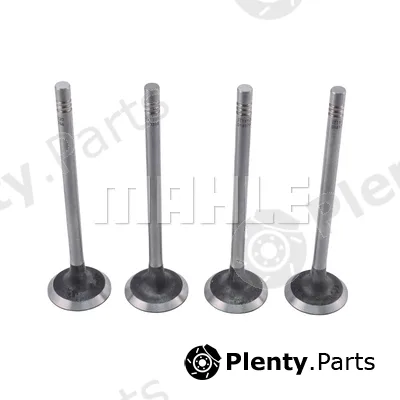 Mahle VA0181766 — Intake Valve