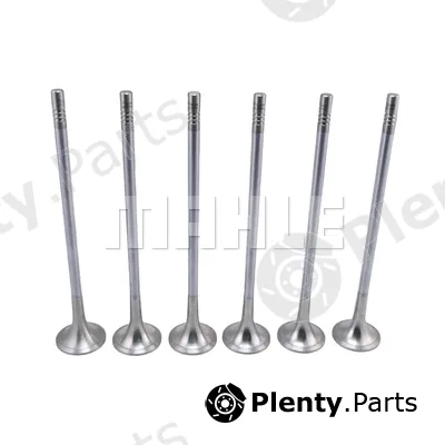 Mahle VE0711743 — Exhaust Valve