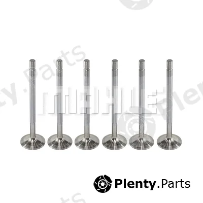 Mahle VA0480244 — Intake Valve