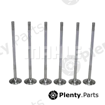 Mahle VA0711742 — Intake Valve