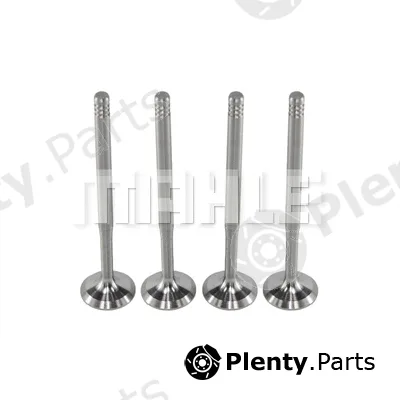 Mahle VA0700009 — Intake Valve