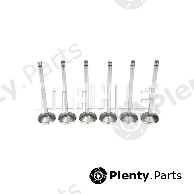 Mahle VE0211372 — Exhaust Valve
