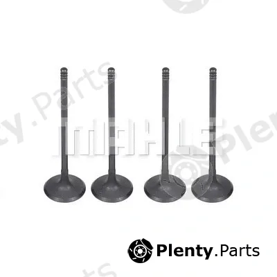 Mahle VA0141581 — Intake Valve
