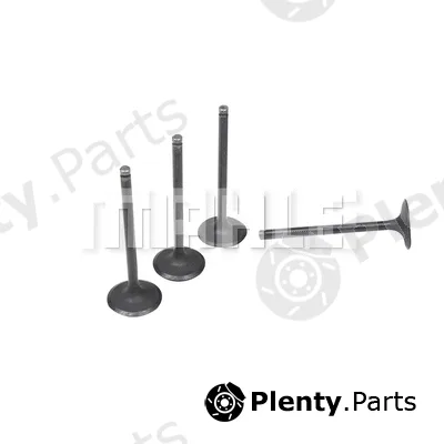 Mahle VA0181703 — Intake Valve