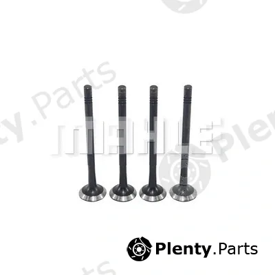Mahle VE0250163 — Exhaust Valve