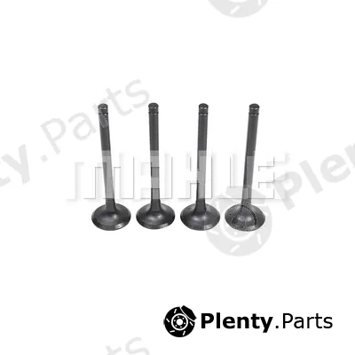 Mahle VE0630260 — Exhaust Valve