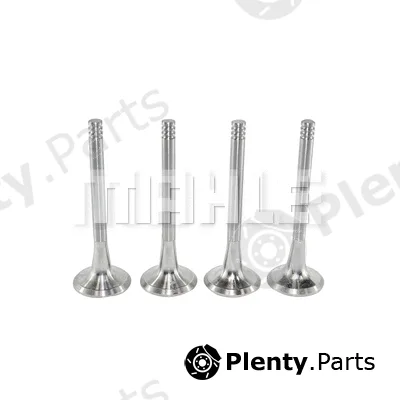 Mahle VE0700016 — Exhaust Valve