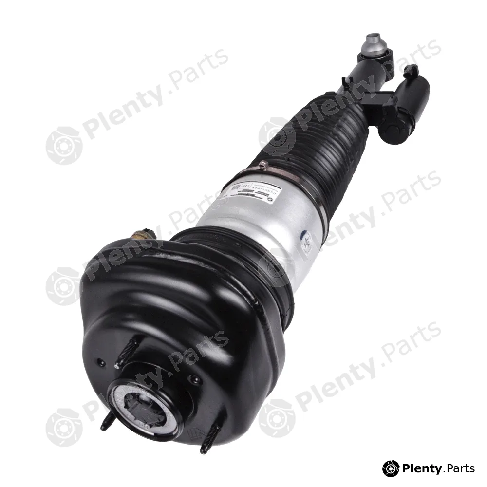 MiesslerAutomotive 11038-01-5954 — Air Suspension Strut Original Miessler Automotive® - Product