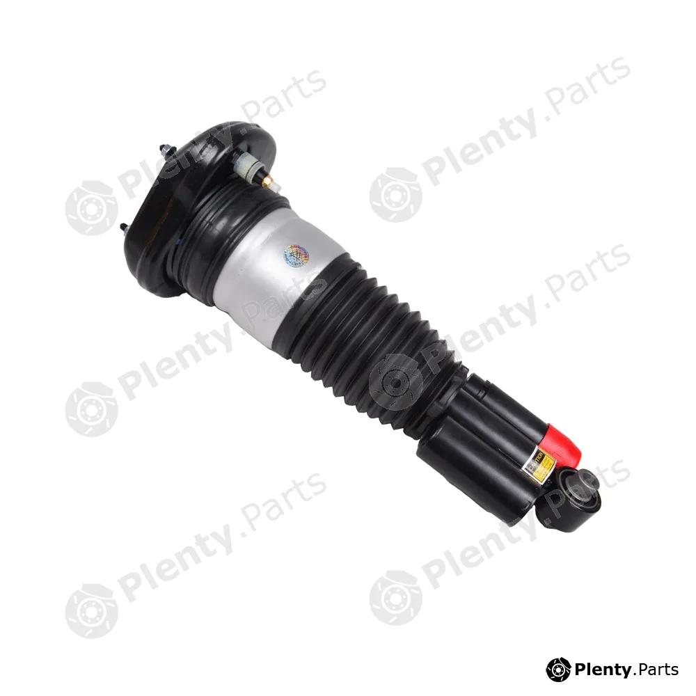 MiesslerAutomotive 11035-01-2823 — Air Suspension Strut Original Miessler Automotive® - Product