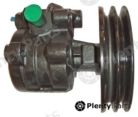 Lizarte 04.09.0210-1 — Hydraulic Pump, steering