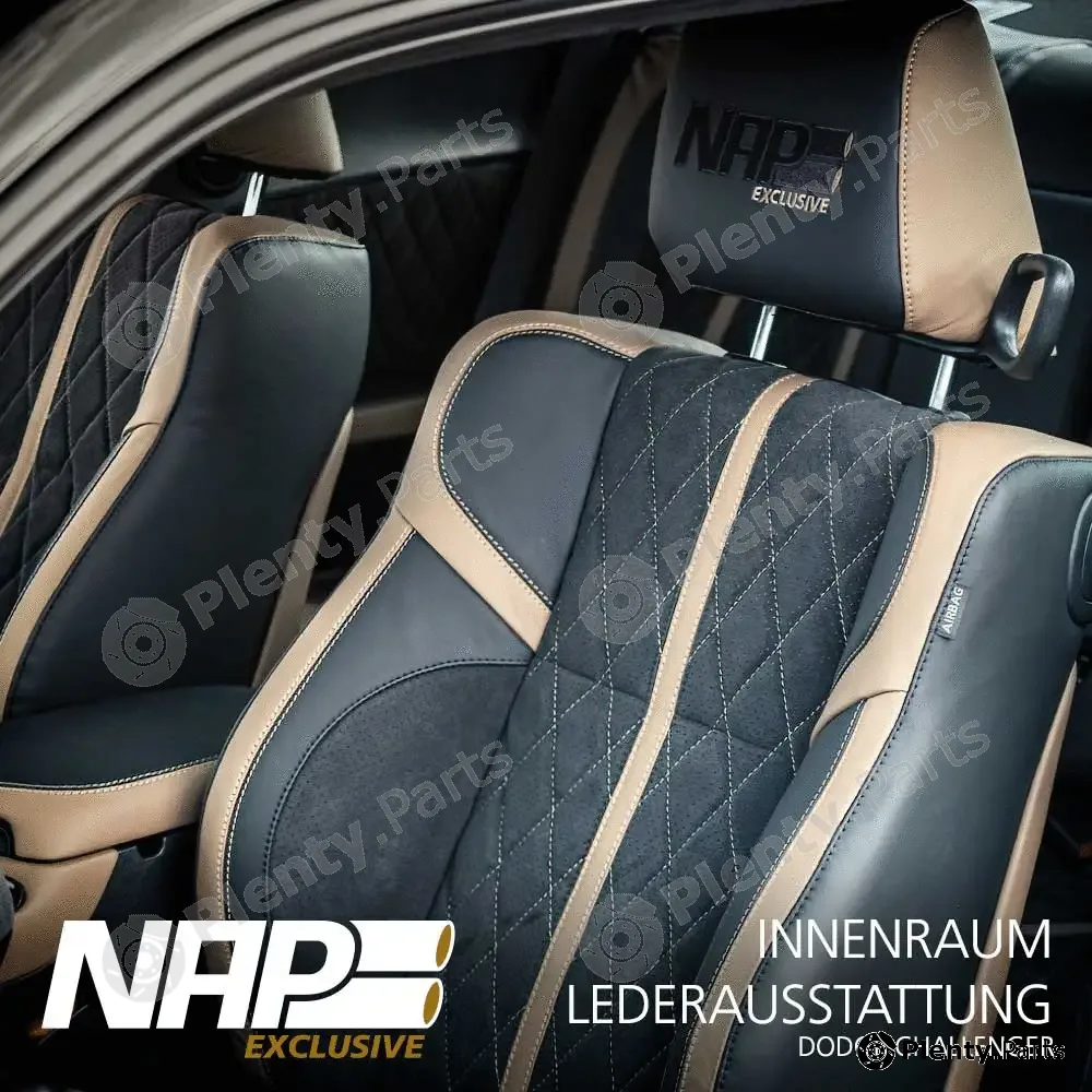 Napexclusive BEZ660001 — Roof Inner Lining
