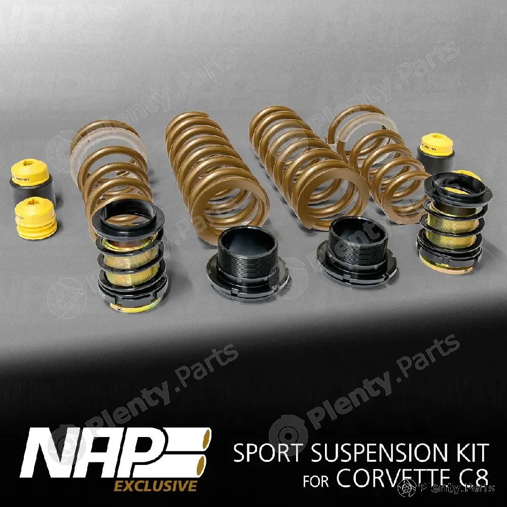 Napexclusive GEW120001 — Suspension Set, springs