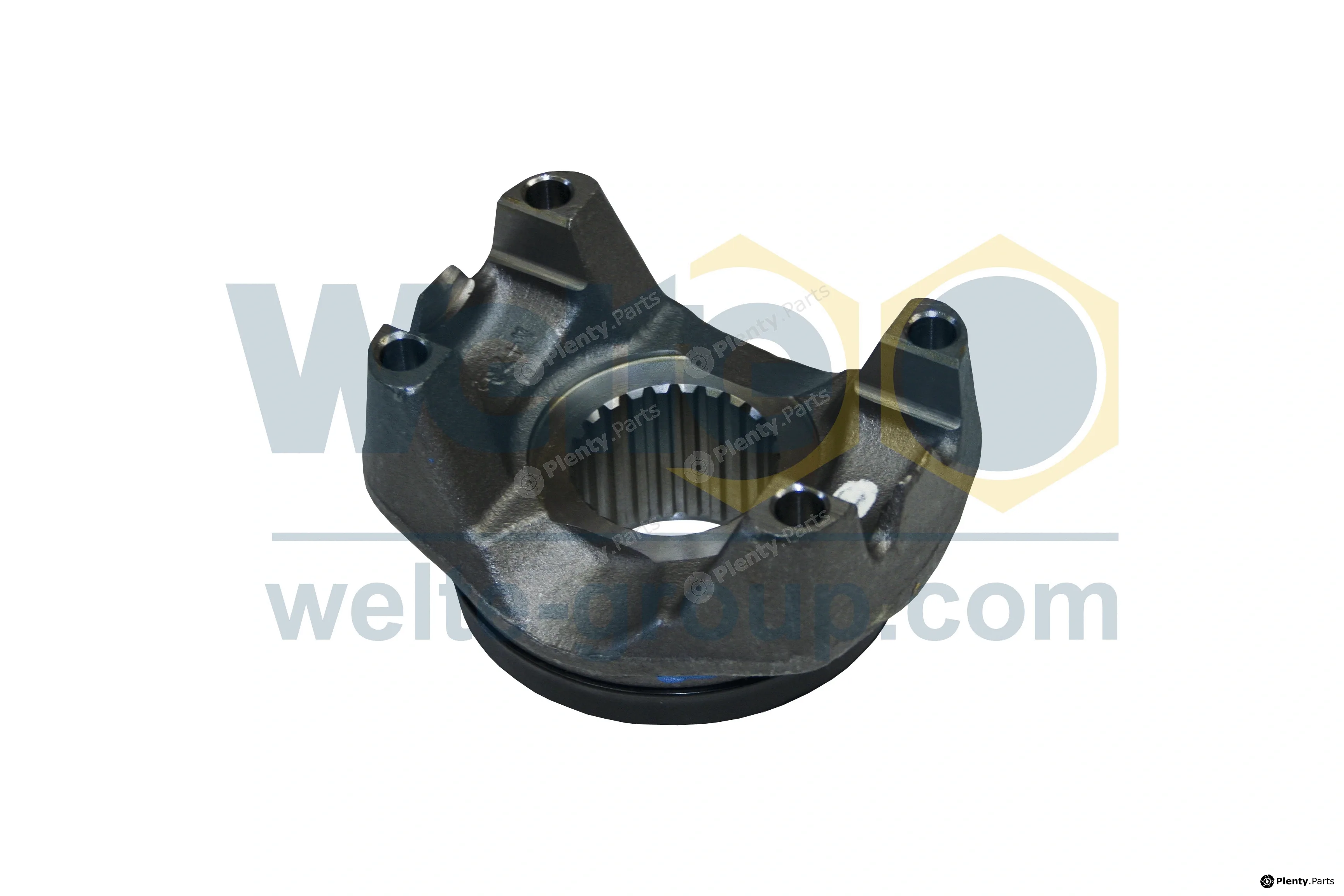 Welte 00023915-GE — Flange, transfer case end yoke