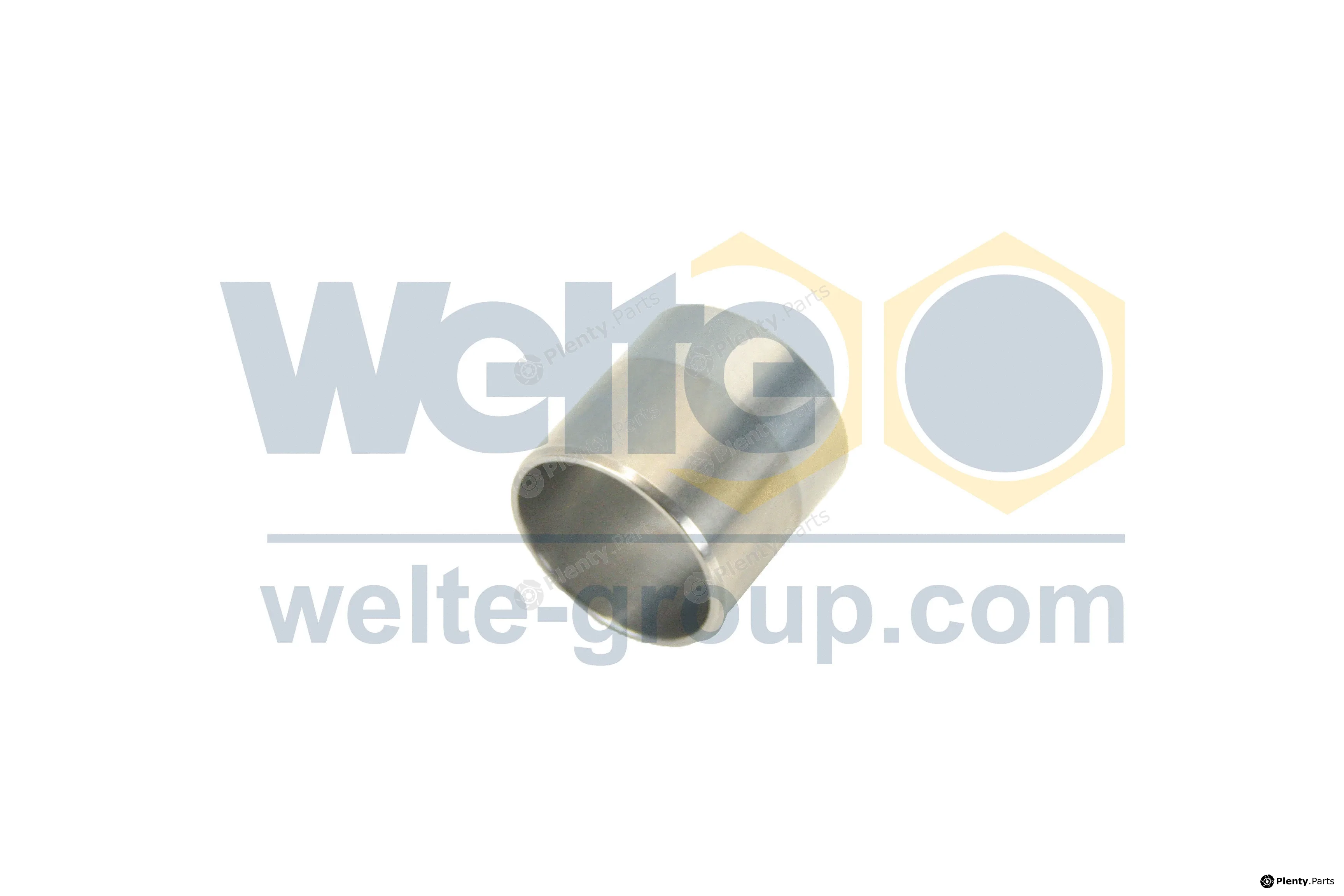 Welte 00020573-GE — Drive Shaft abrasion bushing