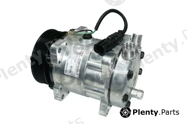 Webasto 82D0155813CA — Compressor, air conditioning