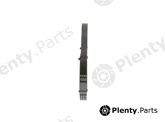 Bosch 1987948415 — V-Ribbed Belt