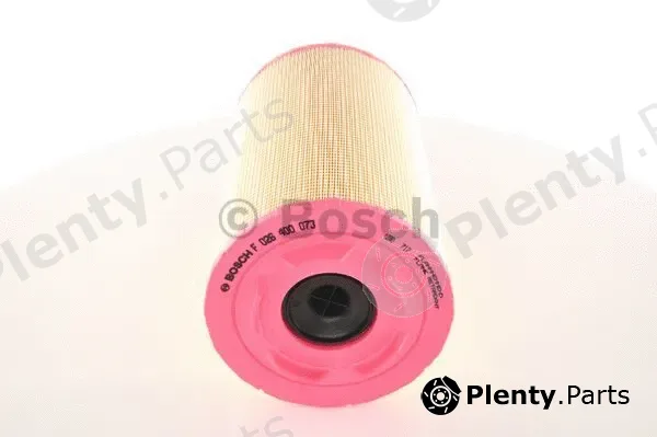 Bosch F026400073 — Air Filter