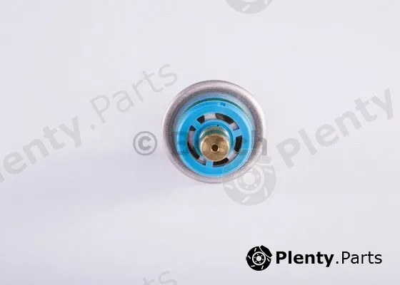 Bosch F000DR0223 — Fuel Pressure Regulator