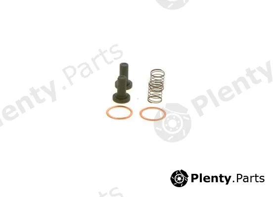 Bosch 2447010011 — Fuel Filter