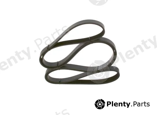 Bosch 1987947824 — V-Ribbed Belt
