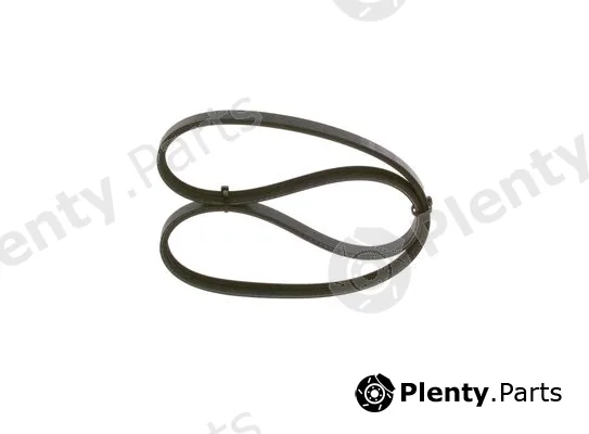 Bosch 1987947880 — V-Ribbed Belt
