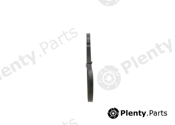 Bosch 1987947677 — V-Belt