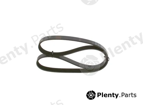 Bosch 1987948437 — V-Ribbed Belt