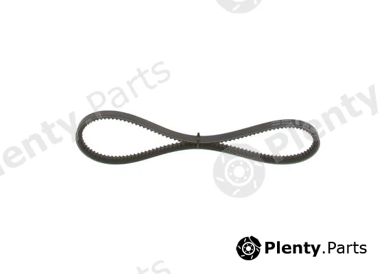 V-Belt