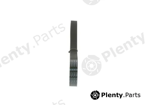 Bosch 1987946034 — V-Ribbed Belt