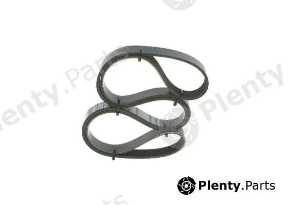 Bosch 1987946096 — V-Ribbed Belt