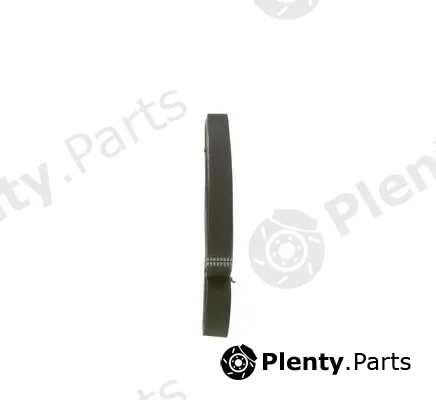 Bosch 1987946045 — V-Ribbed Belt