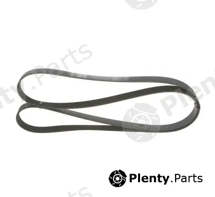 Bosch 1987946260 — V-Ribbed Belt