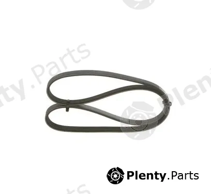 Bosch 1987948359 — V-Ribbed Belt