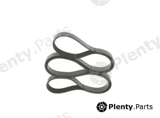 Bosch 1987946031 — V-Ribbed Belt