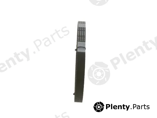 Bosch 1987948788 — Timing Belt