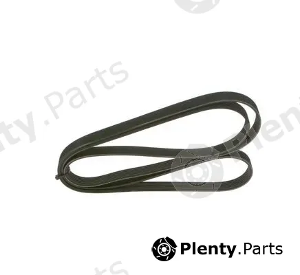 Bosch 1987948344 — V-Ribbed Belt