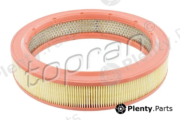 Topran 100619 — Air Filter