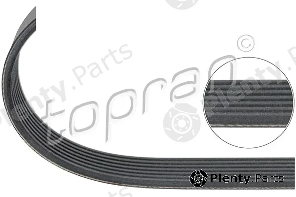 Topran 113625 — V-Ribbed Belt