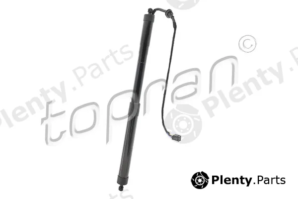 Topran 120224 — Electric Motor, tailgate