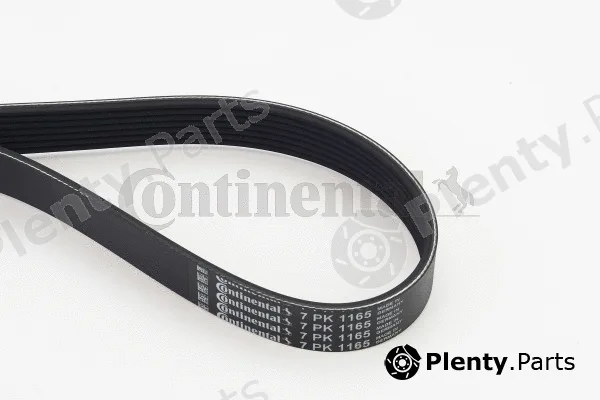 Continental Ctam 7PK1165 — V-Ribbed Belt