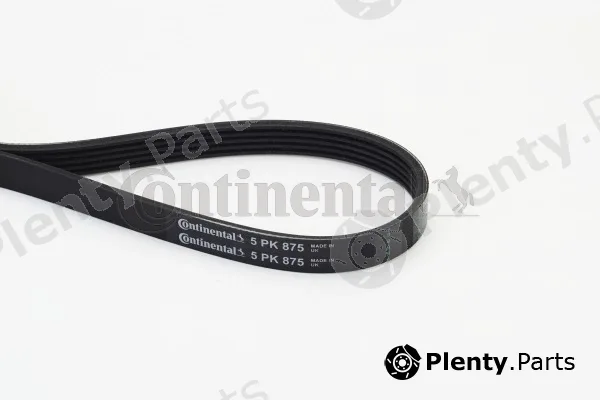 Continental Ctam 5PK875 — V-Ribbed Belt