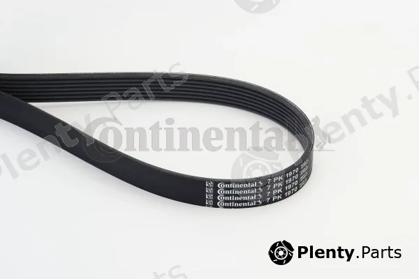 Continental Ctam 7PK1970 — V-Ribbed Belt