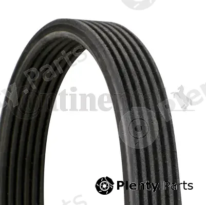 Continental Ctam 6DPK1237 — V-Ribbed Belt